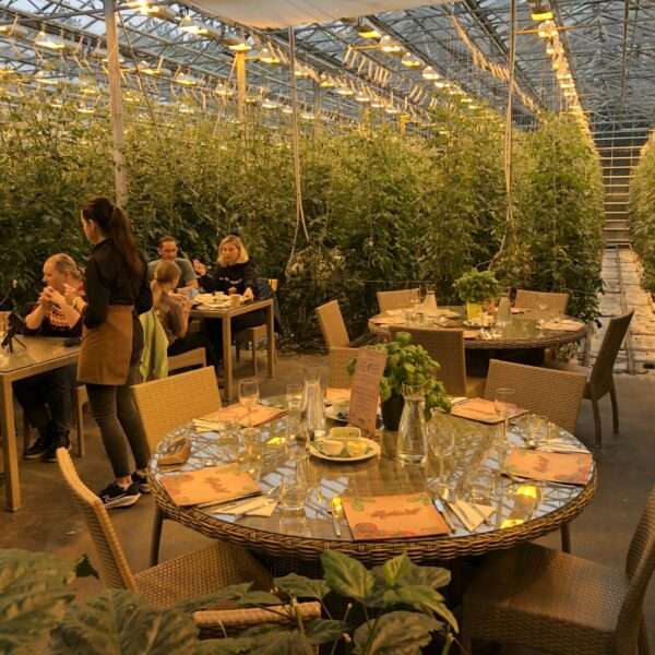 Restaurant dans la Ferme Fridheimar