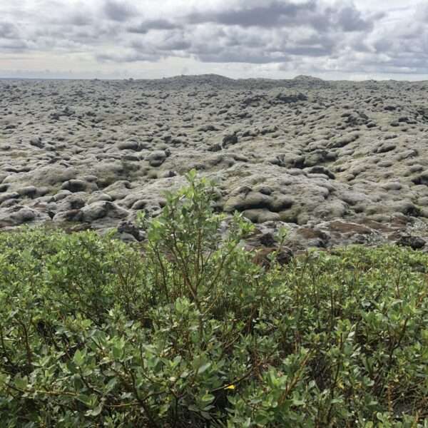 Sud de l'Islande
