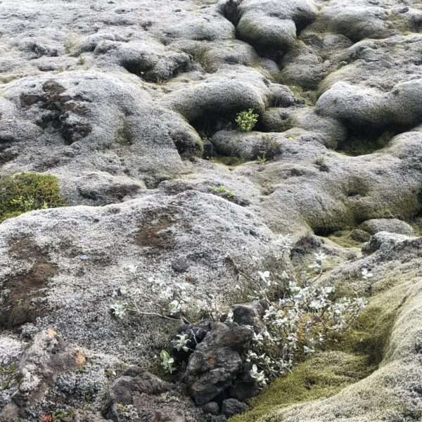 Sud de l'Islande