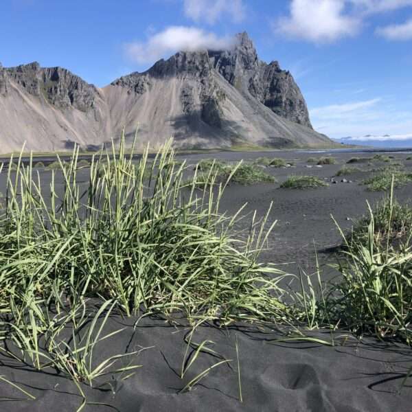 Stokknes