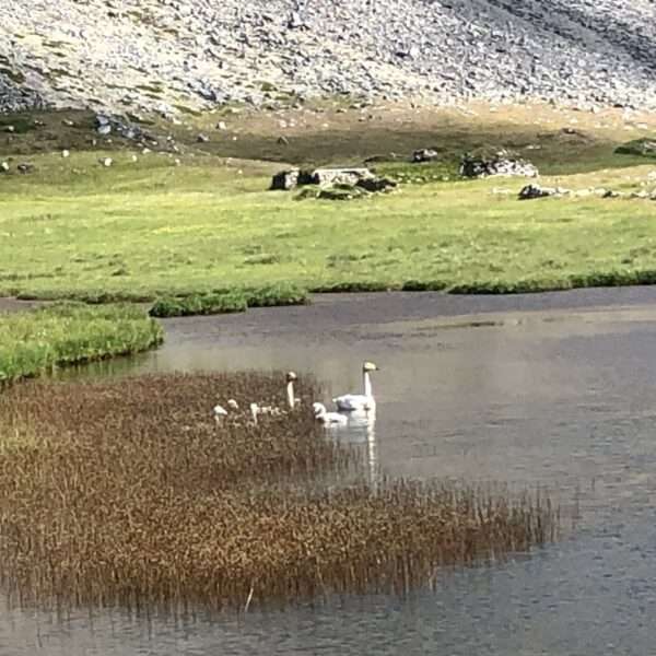 Sud de l'Islande