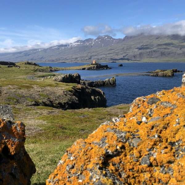 Djupivogur