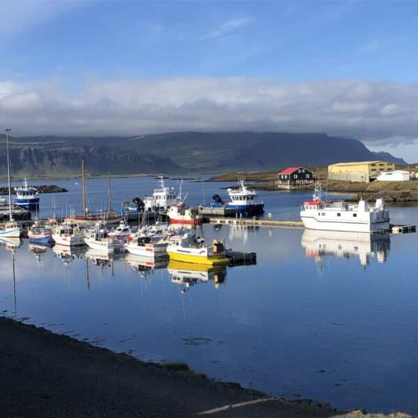 Djupivogur