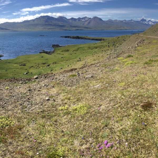 Fjord de l'est