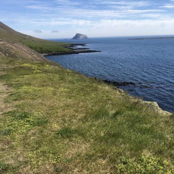 Fjord de l'est