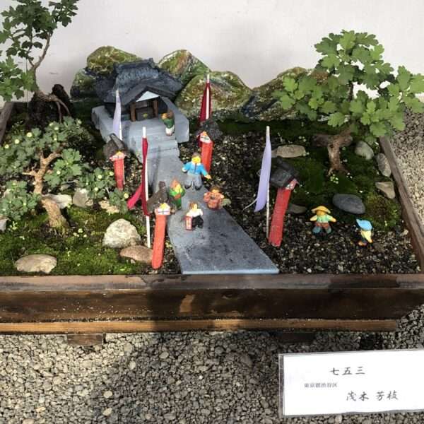 Tokyo - Temple Meiji-Jingu - Bonzai