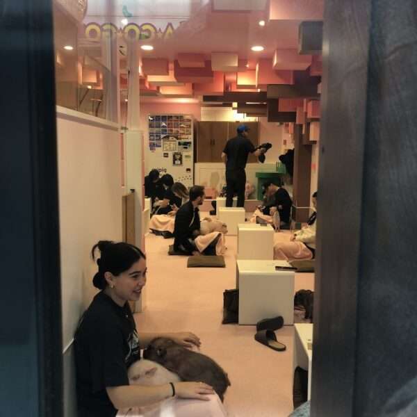 Tokyo - Harajuku - bar à cochons