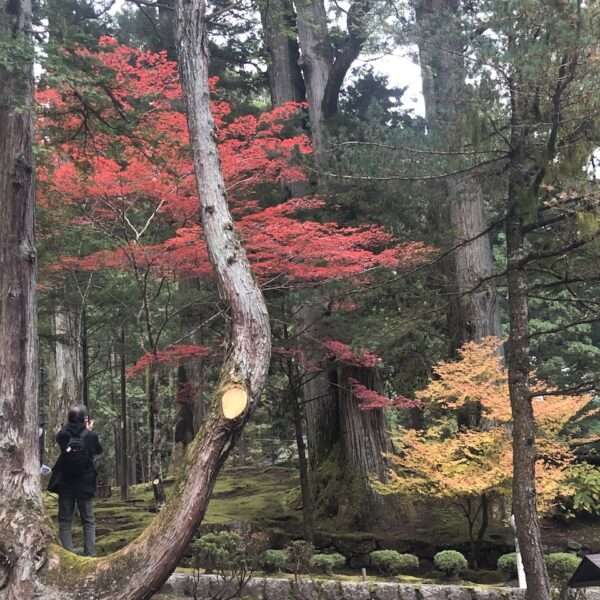 Parc national de Nikko