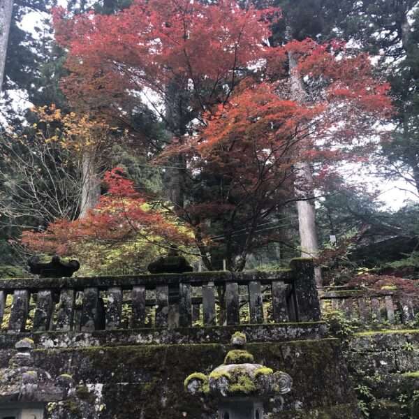 Sanctuaire Futarasan à Nikko