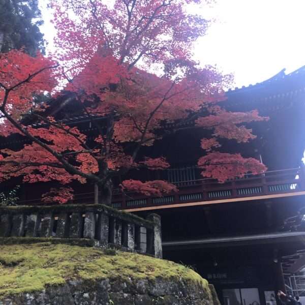 Temple Ryukoin à Nikko
