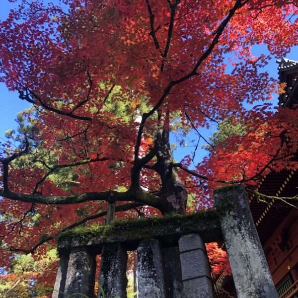 Parc national de Nikko