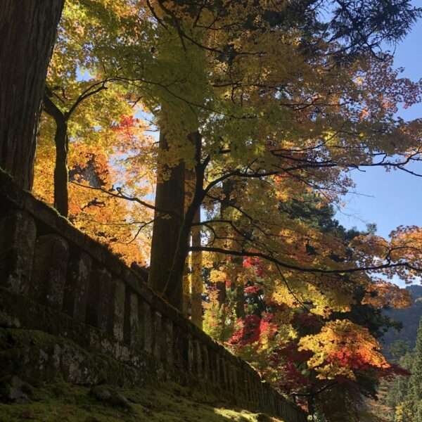 Parc national de Nikko