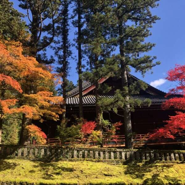 Sanctuaire Toshogu à Nikko