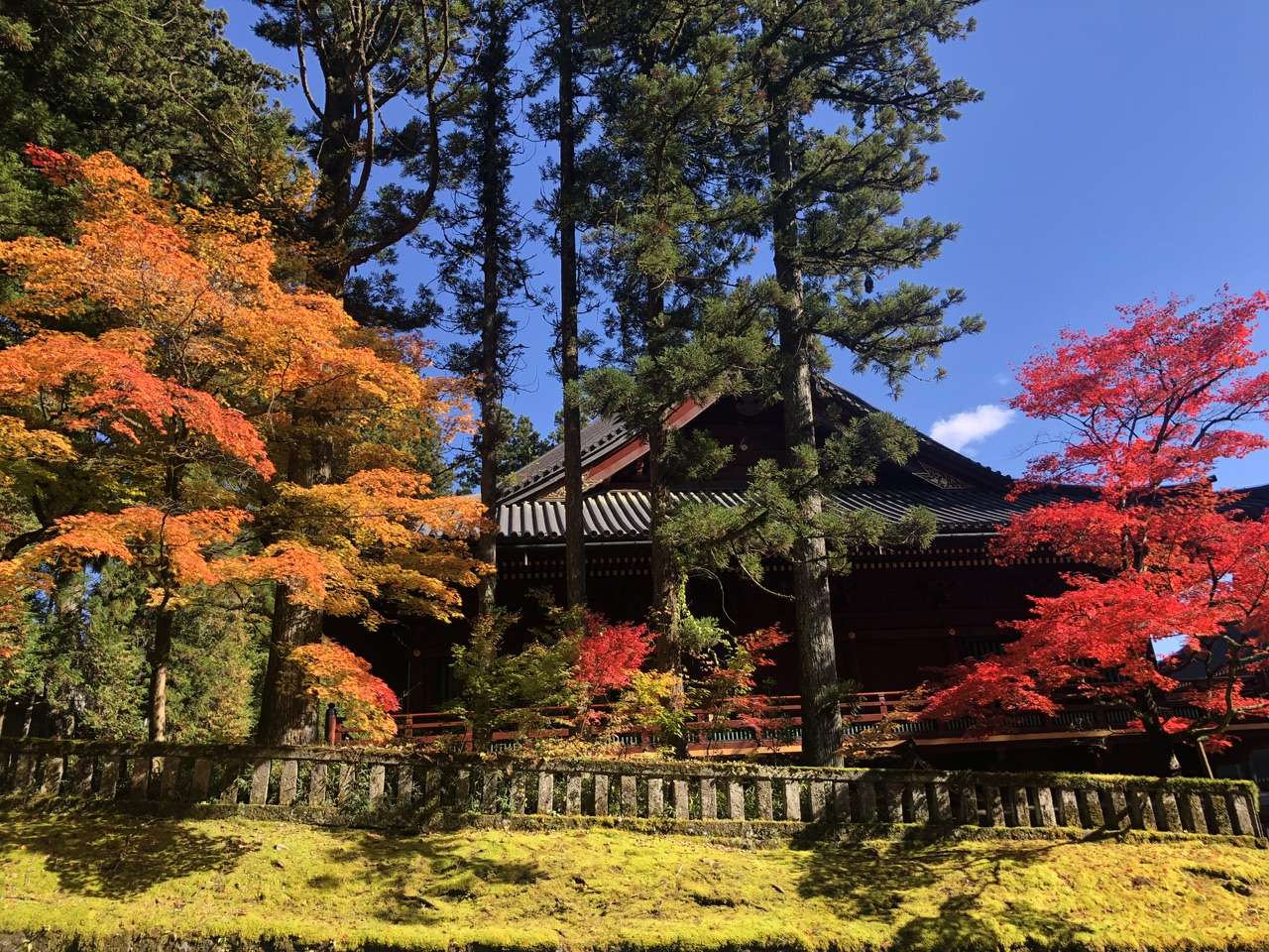 Japon