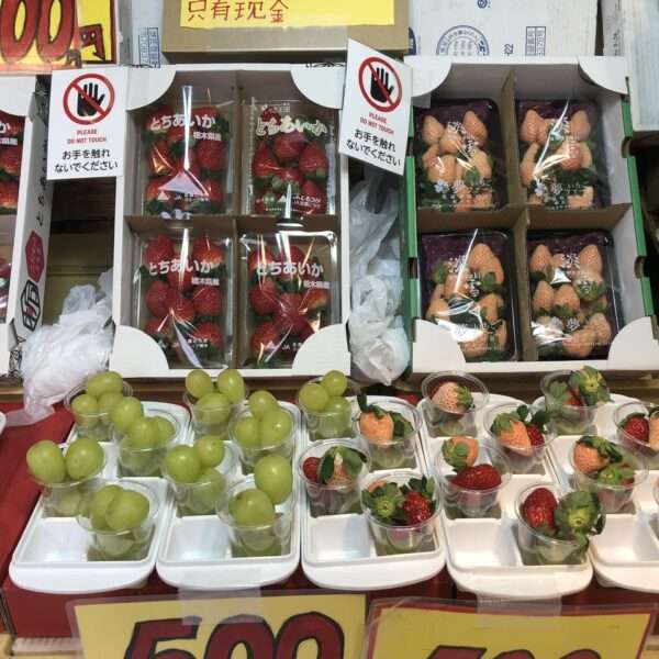 Marché Tsukiji à Tokyo