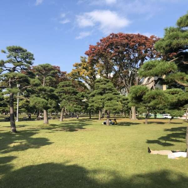 Quartier du palais impérial à Tokyo