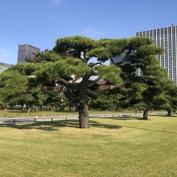 Quartier du palais impérial à Tokyo