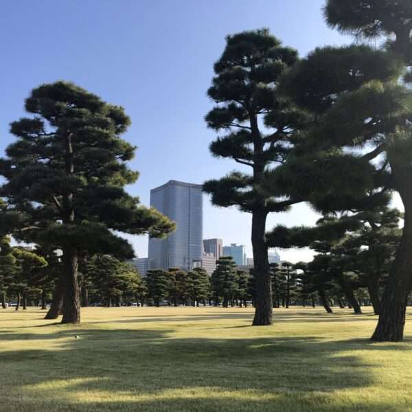 Quartier du palais impérial à Tokyo