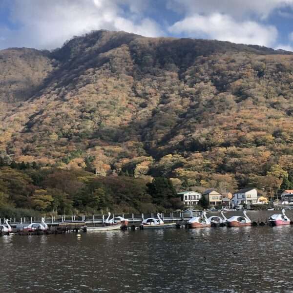 Lac Ashi à Hakone