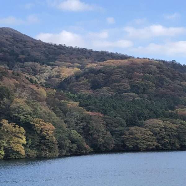 Lac Ashi à Hakone