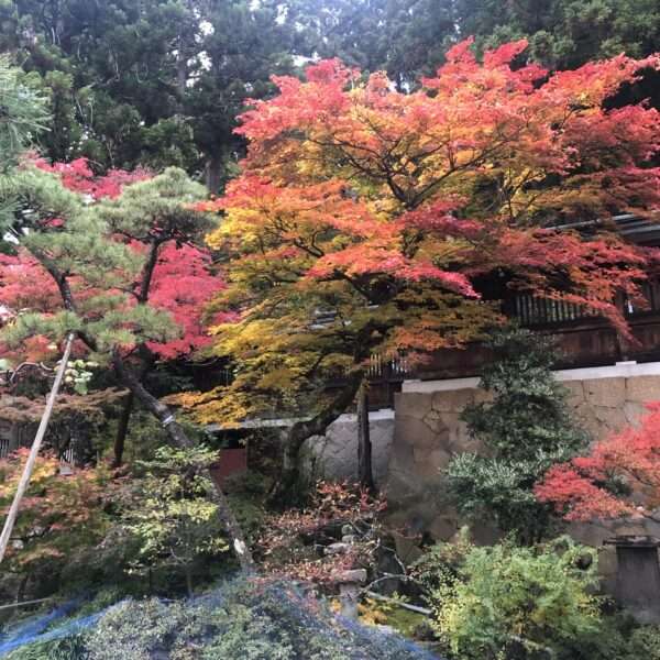 Takayama