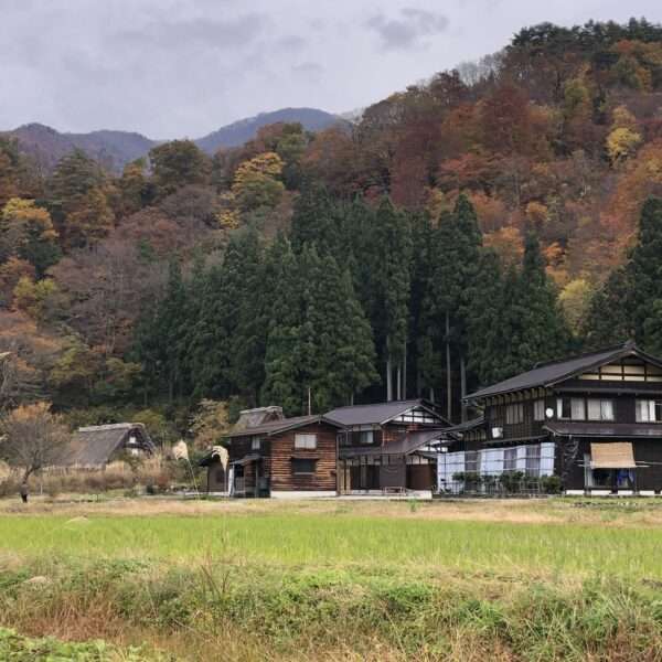 Shirakawa-go Ogimachi