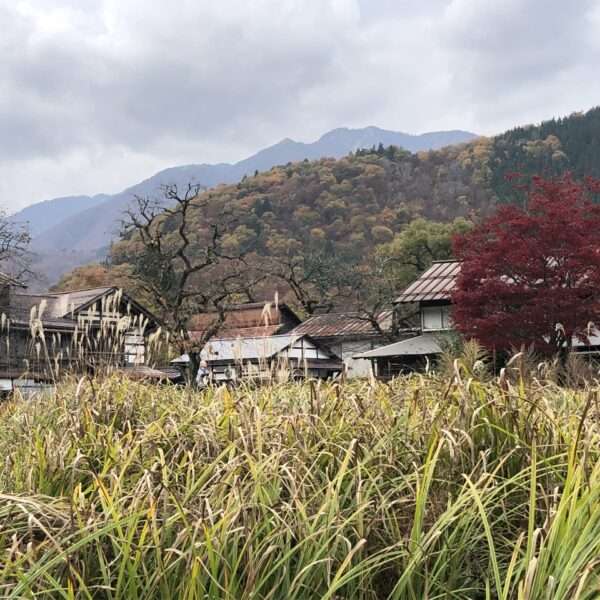 Shirakawa-go Ogimachi
