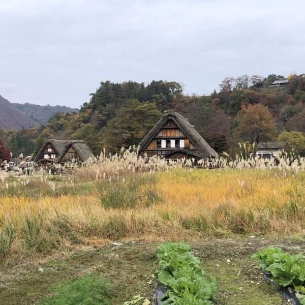 Shirakawa-go Ogimachi