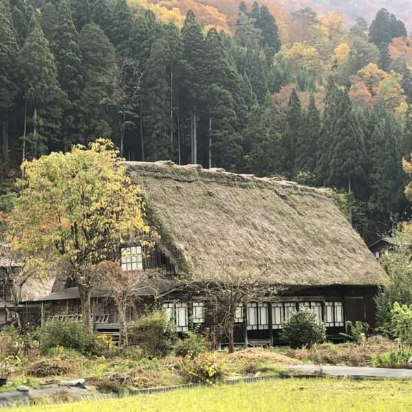 Shirakawa-go Ogimachi