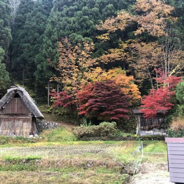 Shirakawa-go Ogimachi