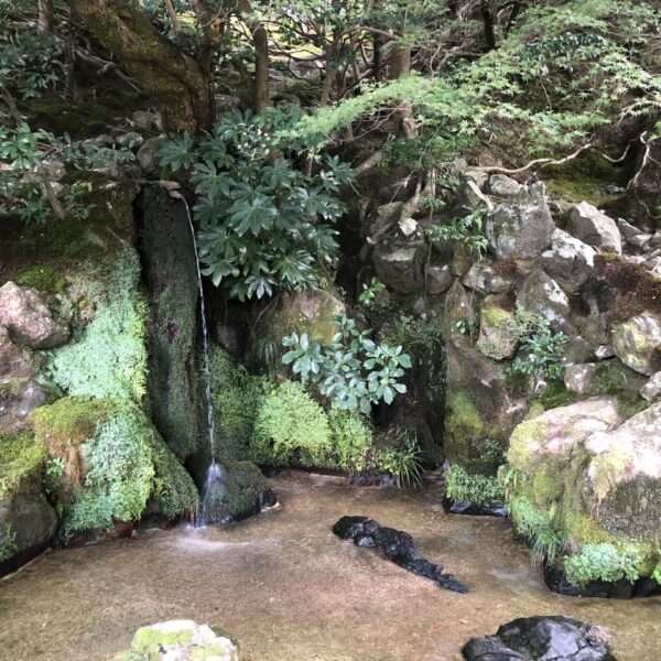 Temple Ginkaku-ji à Kyoto