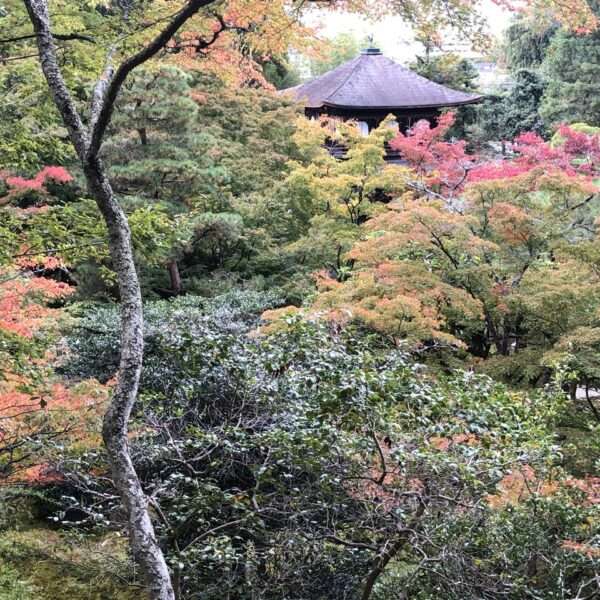 Temple Ginkaku-ji à Kyoto