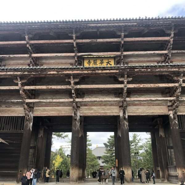 Sanctuaire Kasuga Taisha à Nara