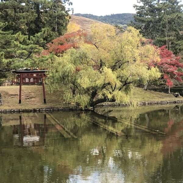Parc de Nara