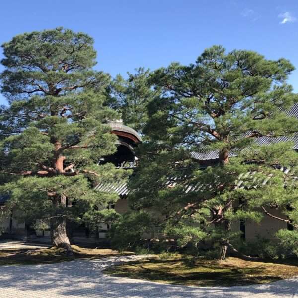 Temple Tenryu-ji d’Arashiyama à coté de Kyoto