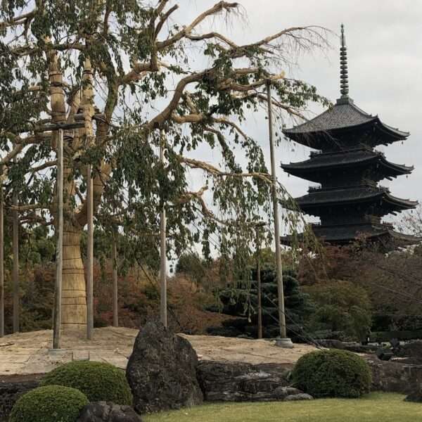 Temple Toji à Kyoto