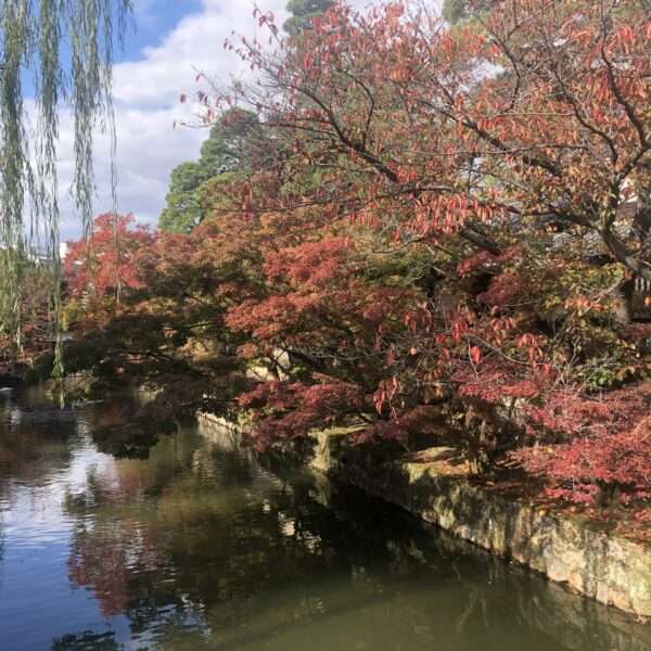 Quartier Bikan à Kurashiki