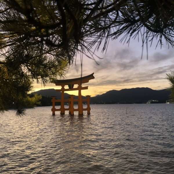 Tori sur l’Île Miyajima