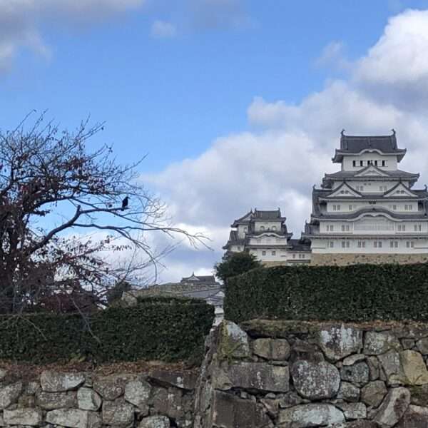 Château du héron blanc à Himeji