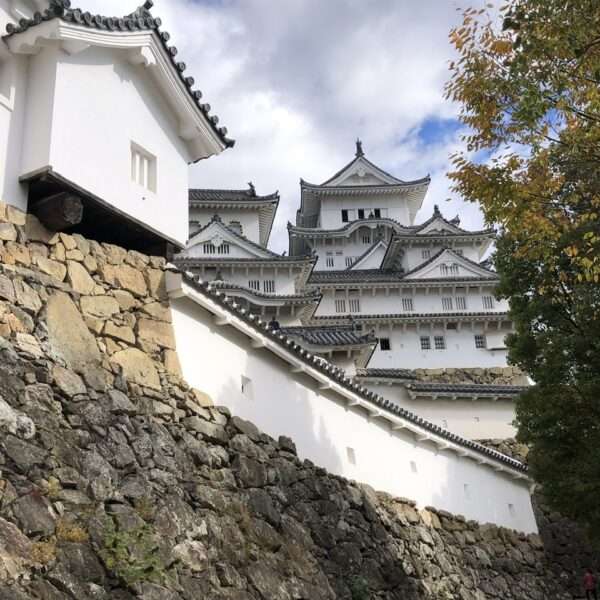 Château du héron blanc à Himeji