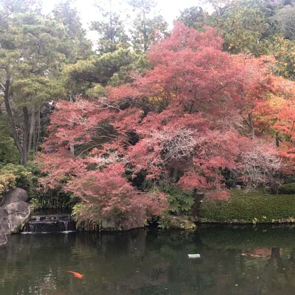 Jardins Koko-en à Himeji