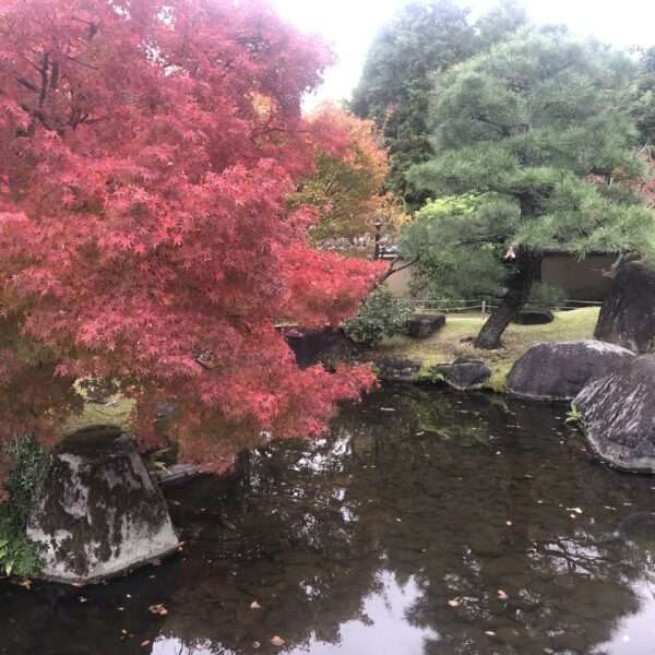 Jardins Koko-en à Himeji