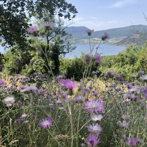 Lac de Salagou