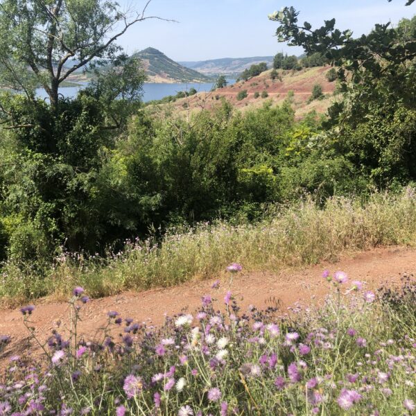 Lac de Salagou