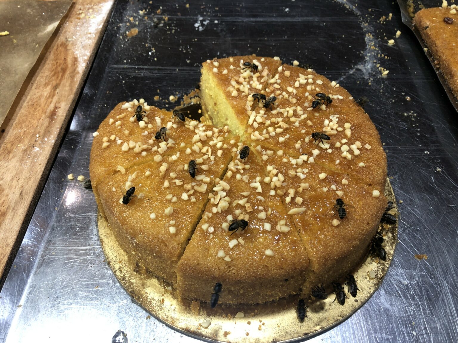 Gâteau de guêpes