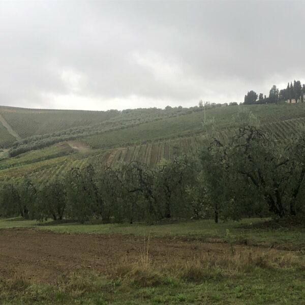 Toscane