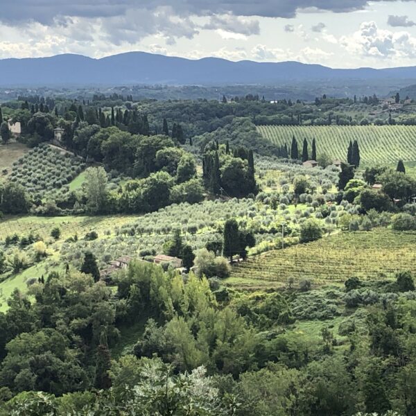 Région du Chianti