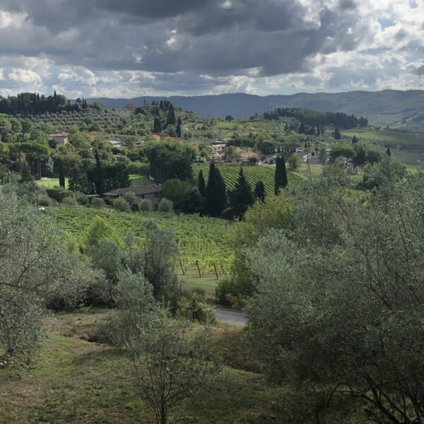 Région du Chianti