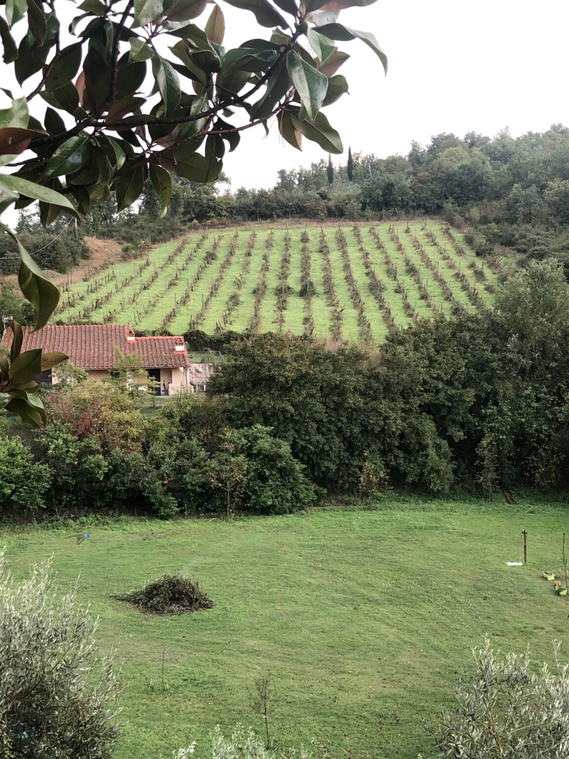 Toscane