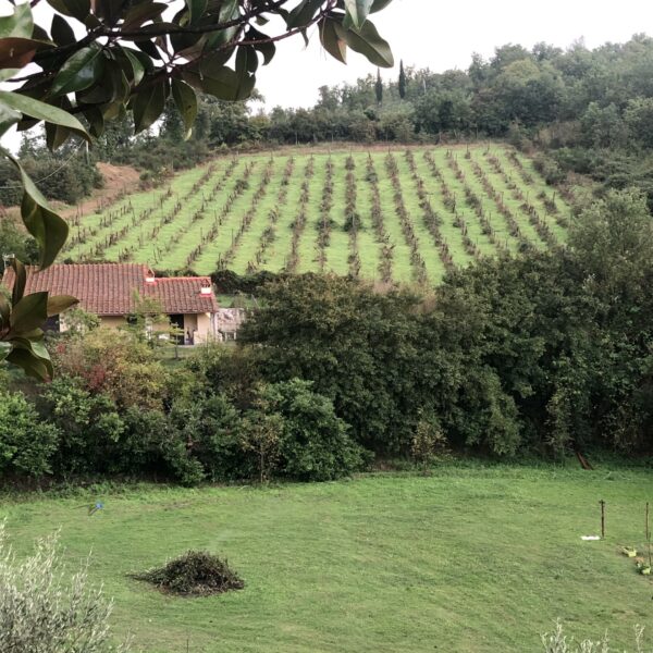 Toscane